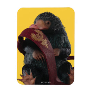 Teddy With Tie Graphic Magnet
