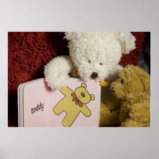 Ted's first book ... poster (Front)