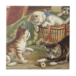 TEE Curious Cat Tile