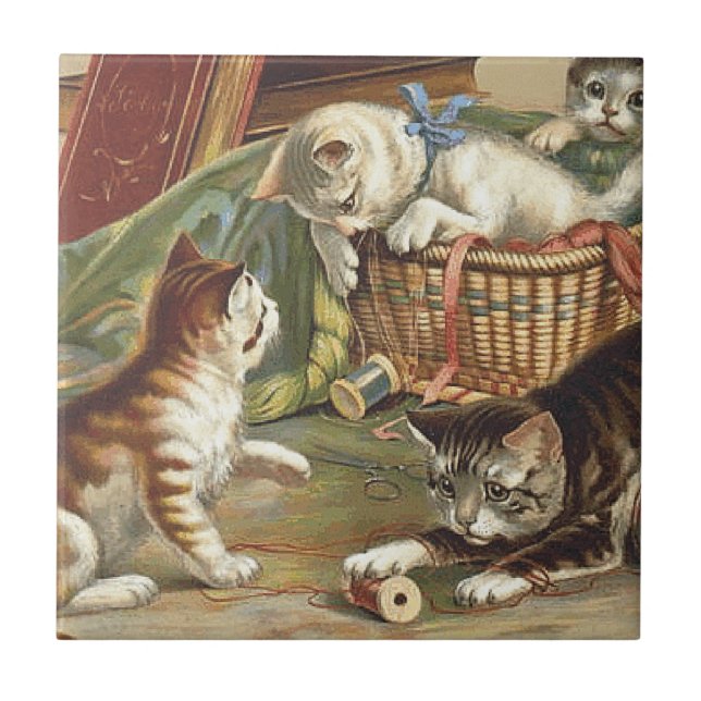 TEE Curious Cat Tile (Front)