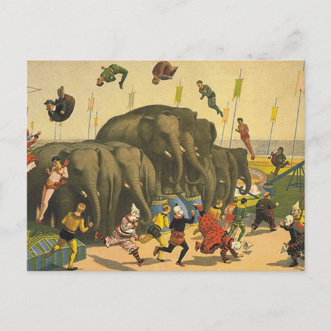 TEE Elephant Acrobats Postcard (Front)