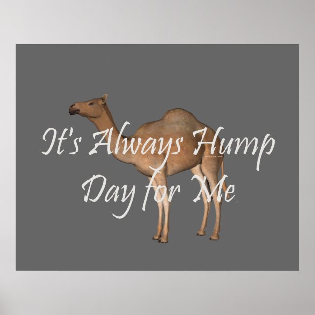 TEE Hump Day Poster (Front)