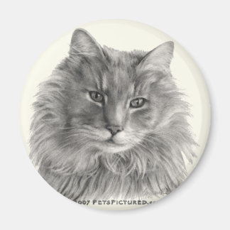 TeeGee, Long-Haired Grey Cat Magnet