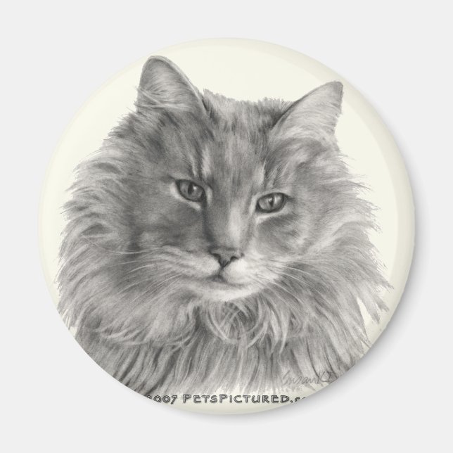 TeeGee, Long-Haired Grey Cat Magnet (Front)