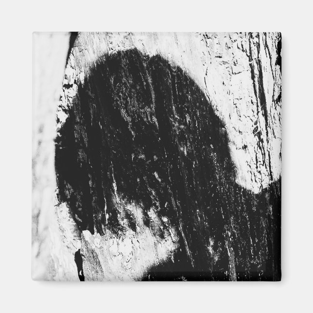 teen shadow magnet (Front)