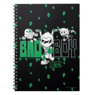 Teen Titans Go! "Bad Boy" Robin, Cyborg, & BB Notebook