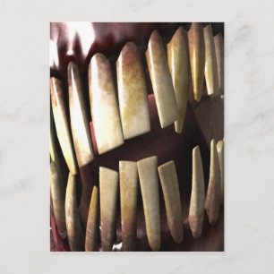 teeth postcard