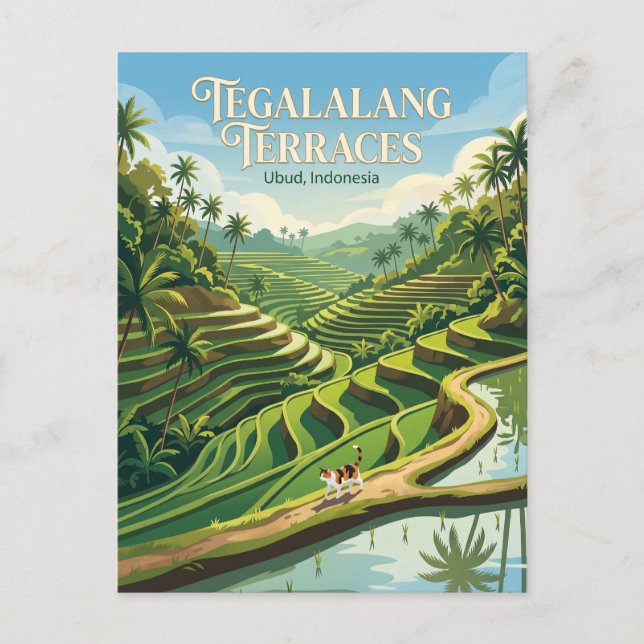 Tegalalang Rice Terraces Indonesia Postcard (Front)