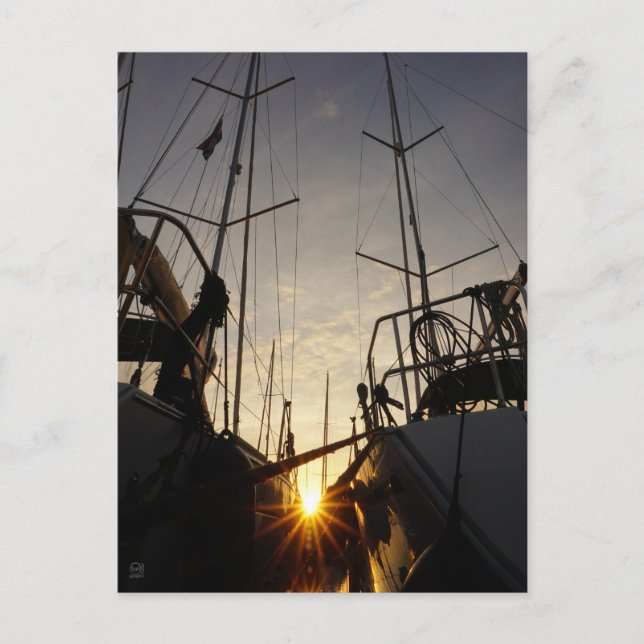 Tegenlicht bij 2 zeilboten in de haven. postcard (Front)