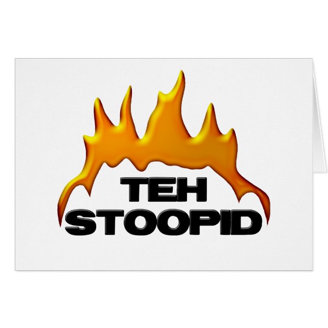 Teh Stoopid Burns (Front Horizontal)