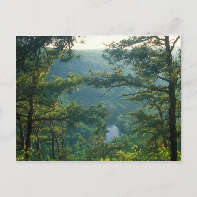 Tekoa Mountain Postcard (Front)