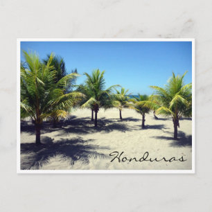 tela beach palms postcard