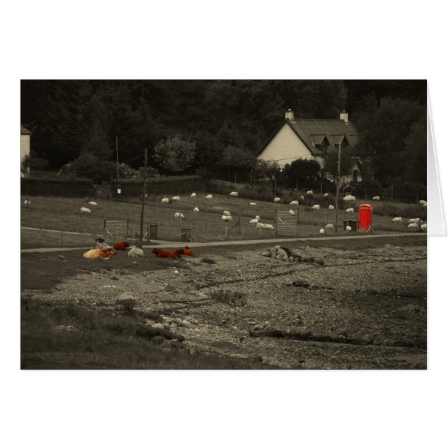 telephone box (Front Horizontal)