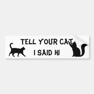 Tell your Cat I said hi Bumper Sticker