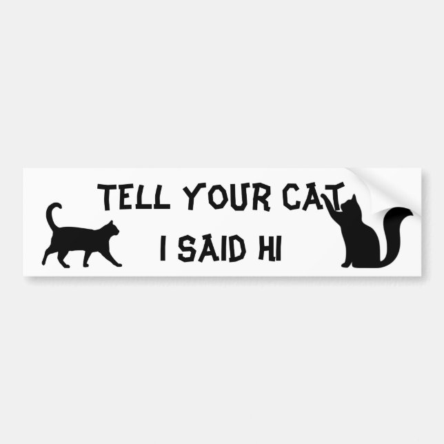 Tell your Cat I said hi Bumper Sticker (Front)
