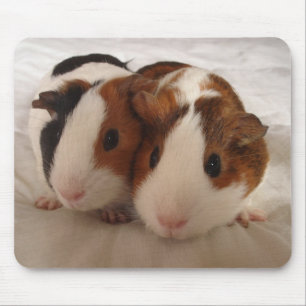 Telmha & louise mouse pad