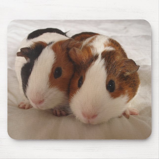 Telmha & louise mouse pad (Front)