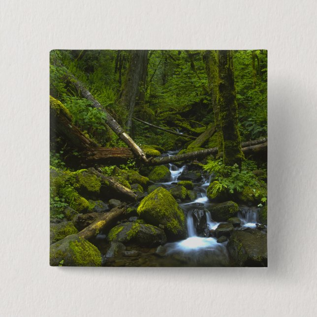 Temperate Rainforest Stream in Columbia River 15 Cm Square Badge (Front)