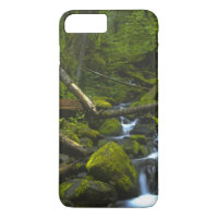 Temperate Rainforest Stream in Columbia River