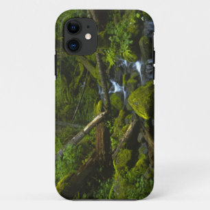 Temperate Rainforest Stream in Columbia River iPhone 11 Case