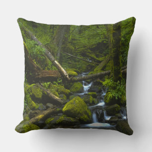 Temperate Rainforest Stream in Columbia River Cushion