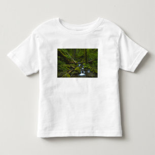 Temperate Rainforest Stream in Columbia River Toddler T-Shirt