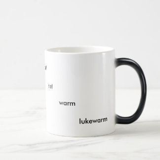 Temperature mug