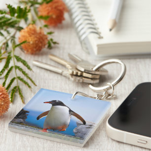 Template Custom Gifts Add Your Own Image Photo Key Ring