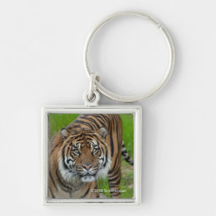 template key ring