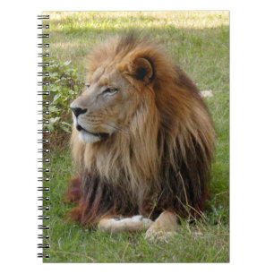 Template-Notebook (8x10) Spiral Notebook