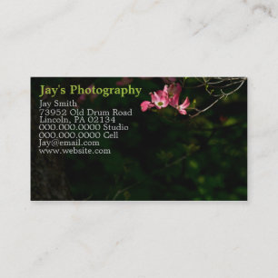 Template Photography Business Cards