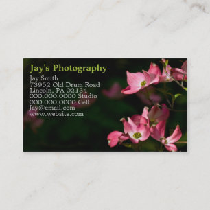 Template Photography Business Cards