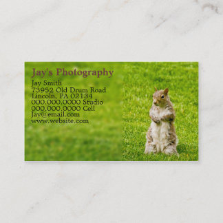 Template Photography Business Cards