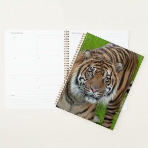 template planner