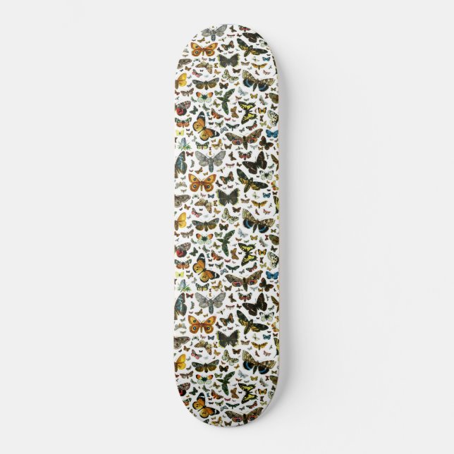 Template Skateboard (Front)