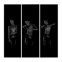 Template web ripping links