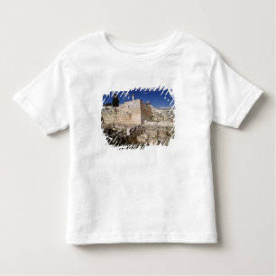 Temple Mount Toddler T-Shirt