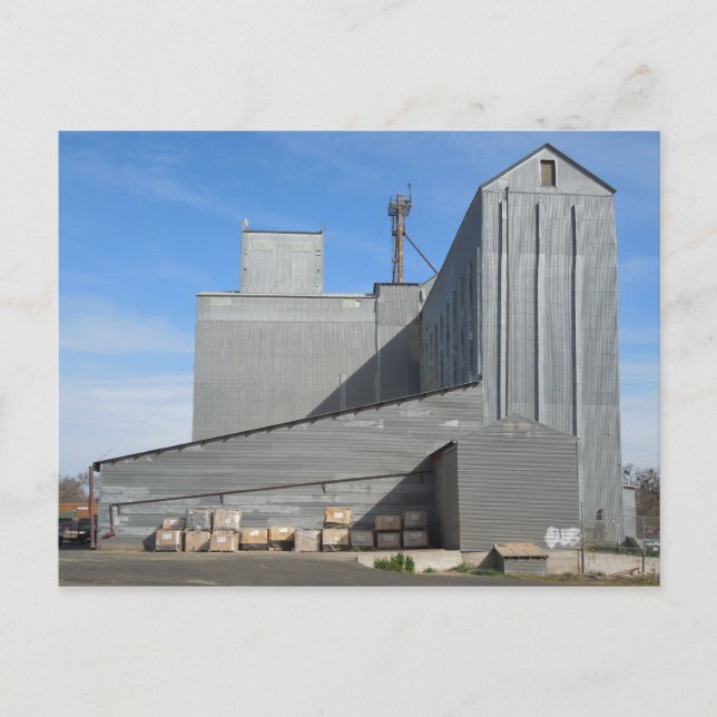 Templeton Feed and Grain Building Postcard (Front)