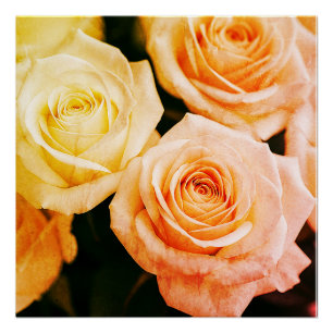 Tempting Blush Reverie Poster