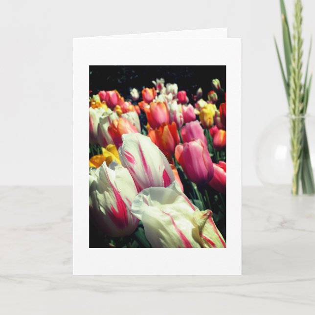 Tempting Tulips Note Card (Front)