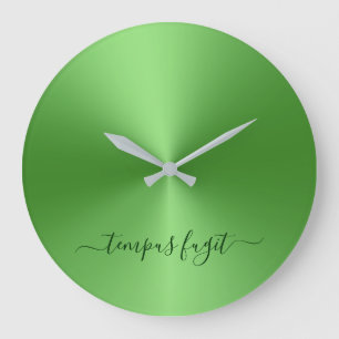 Tempus Fugit Light Green Metallic Style Acrylic Large Clock