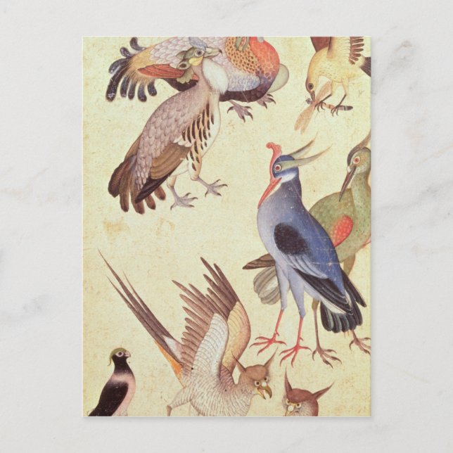Ten Birds Postcard (Front)