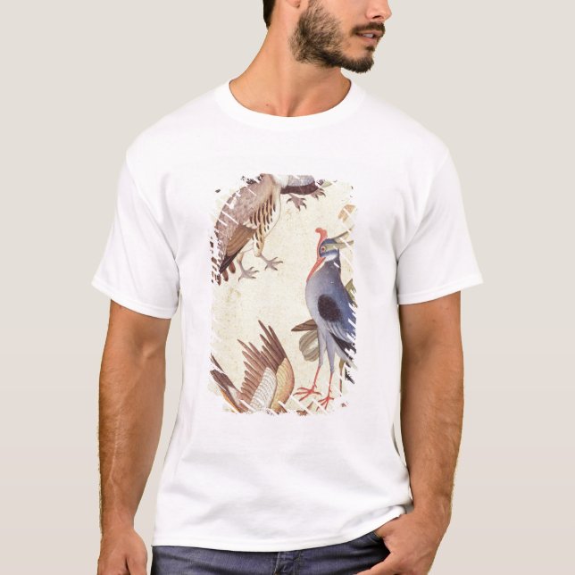 Ten Birds T-Shirt (Front)