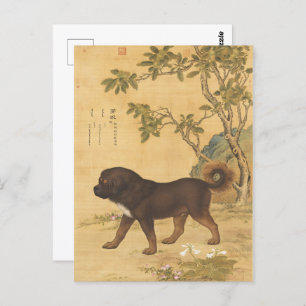 Ten Fine Hounds - Cangni(A Tibetan Mountain Dog)  Postcard