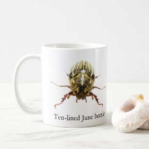 Ten-lined June Beetle Mug