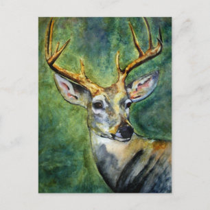 Ten Pointer (Deer) Postcards