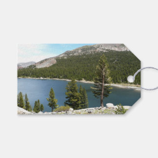 Tenaya Lake in Yosemite National Park Gift Tags