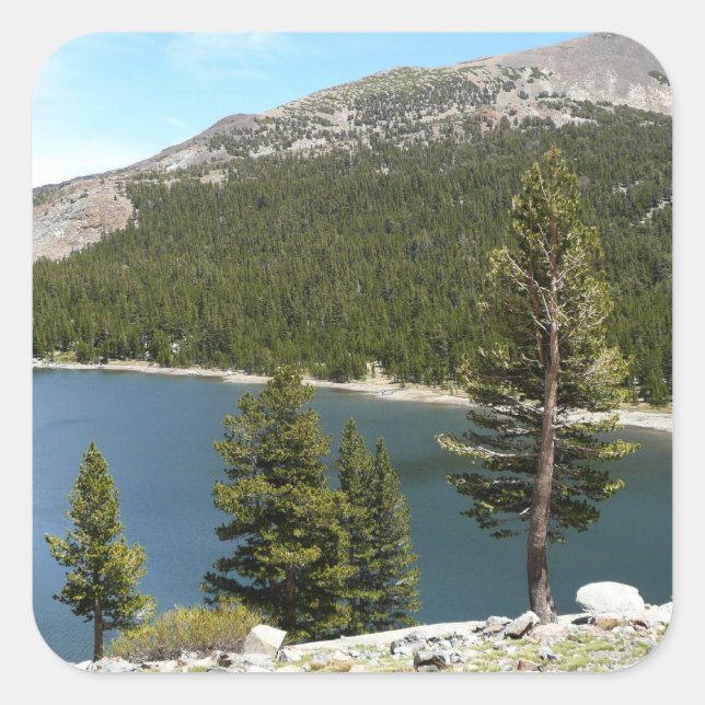 Tenaya Lake in Yosemite National Park Square Sticker (Front)
