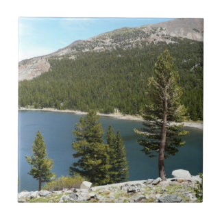 Tenaya Lake in Yosemite National Park Tile