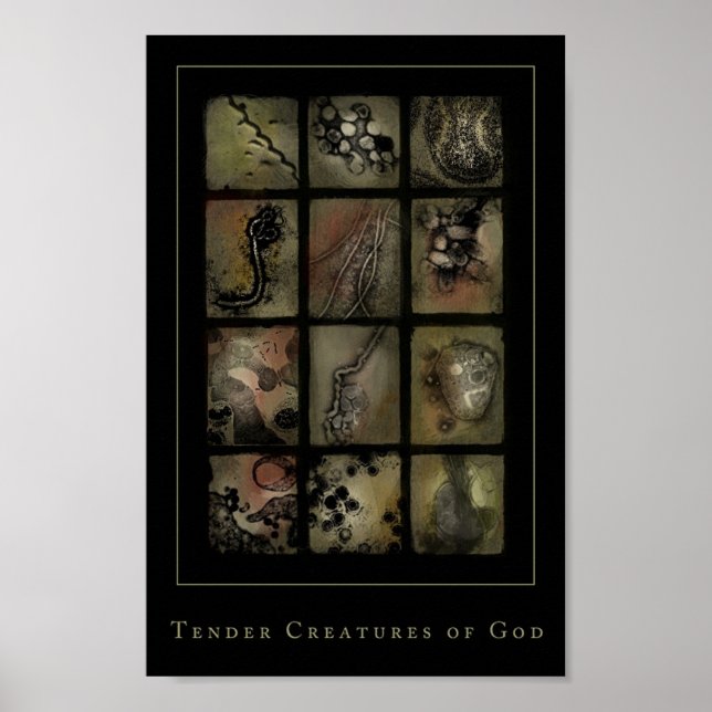 tender creatures of god poster (Front)